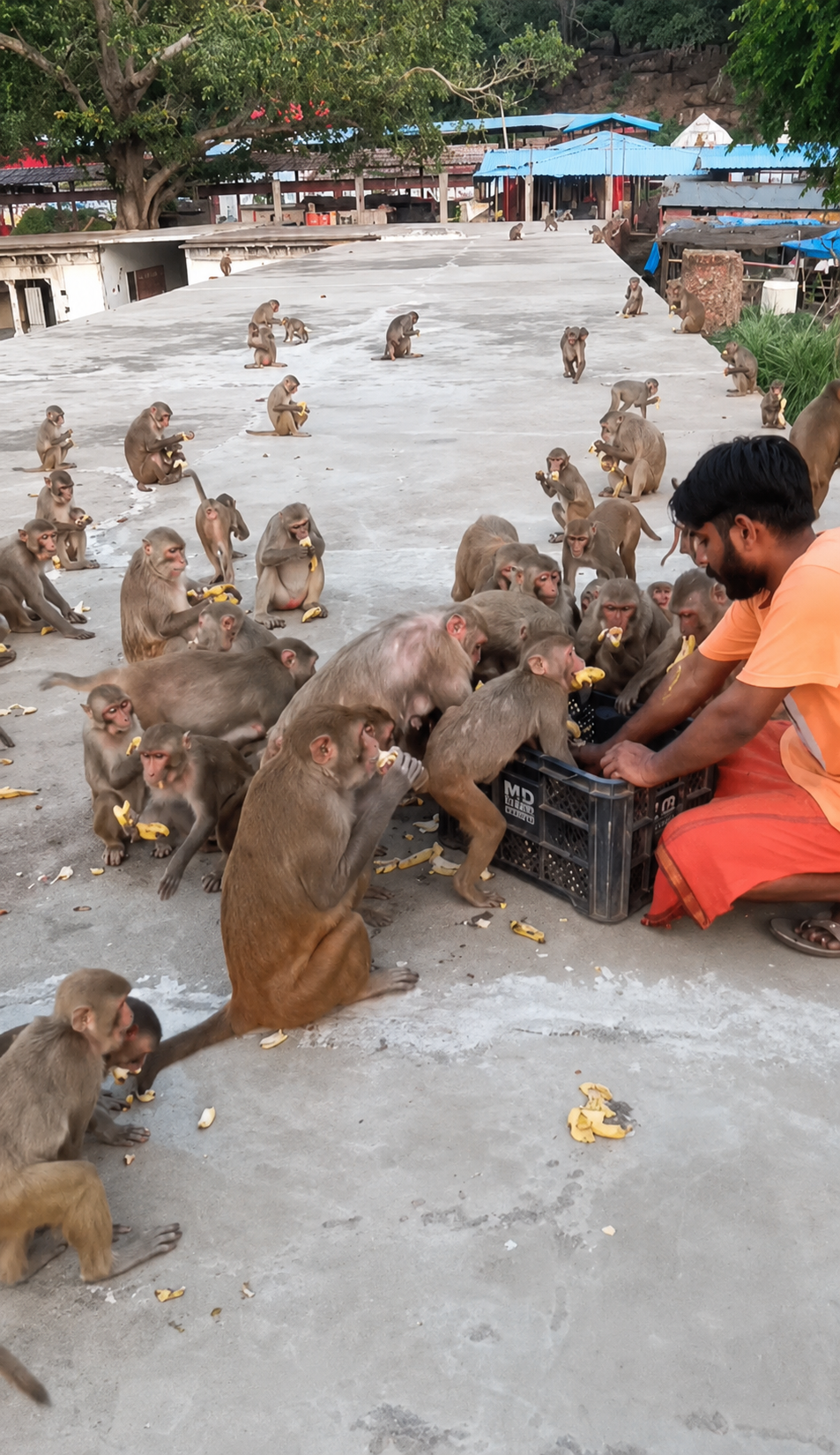 Chitrakoot