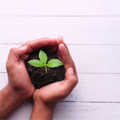 About Foundation