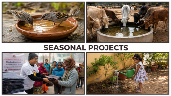 Ammucare Seasonal Project