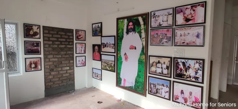 Gallery image 5